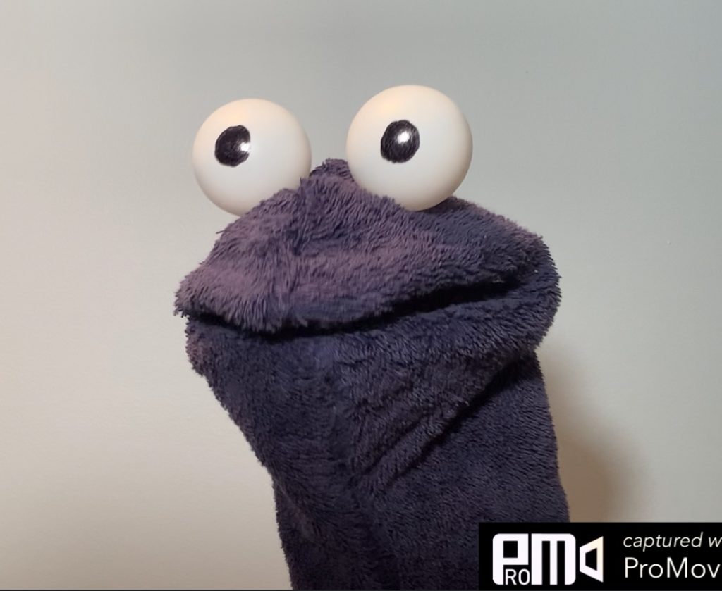 DIY Puppet